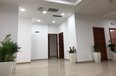 Tirane For Rent Office  Business Center in Blloku area, Tirana Office Office klinike spitalore show room klinike call center Banke