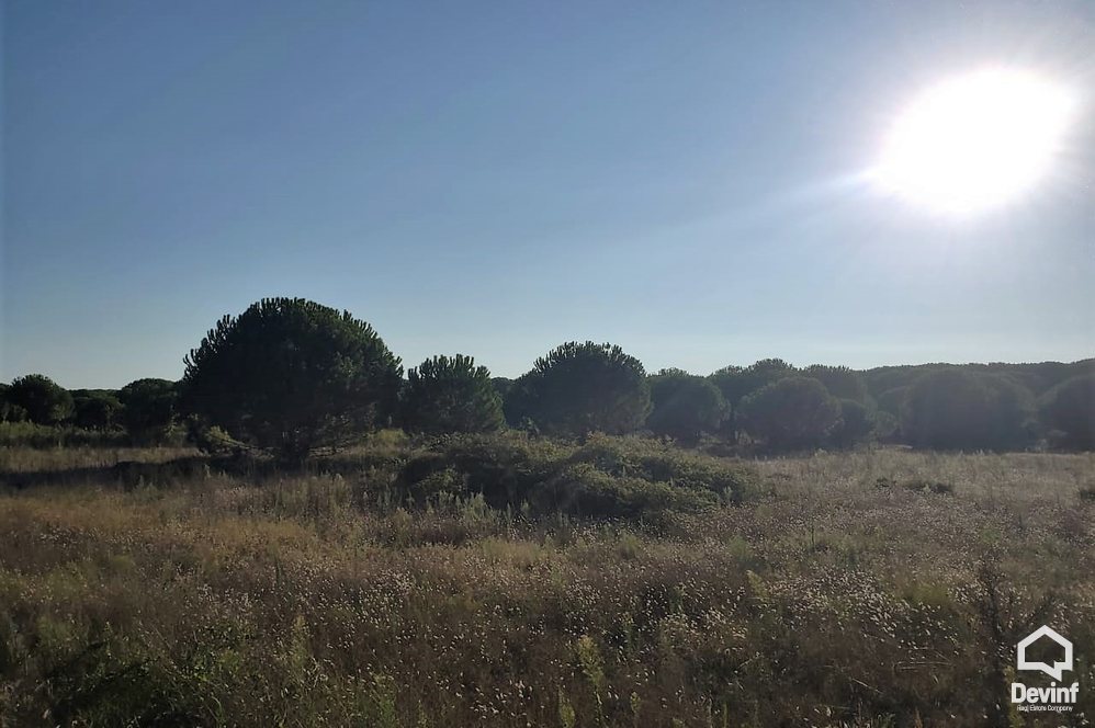 Durres For Sale Land  Lalzi Bay, Durres Building Plot Coast Land bregdet