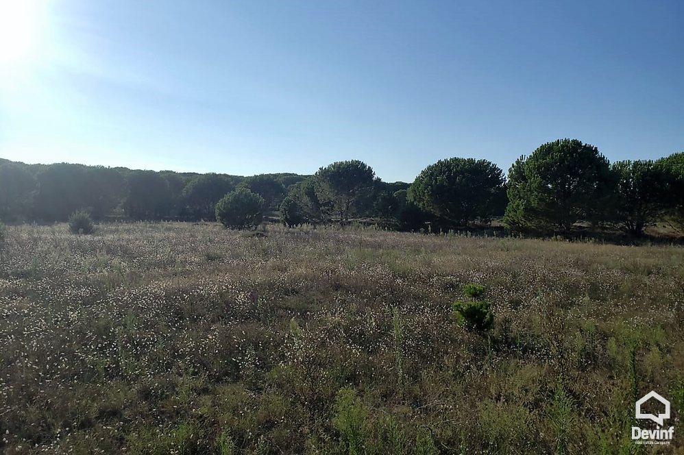 Durres For Sale Land  Lalzi Bay, Durres Building Plot Coast Land bregdet