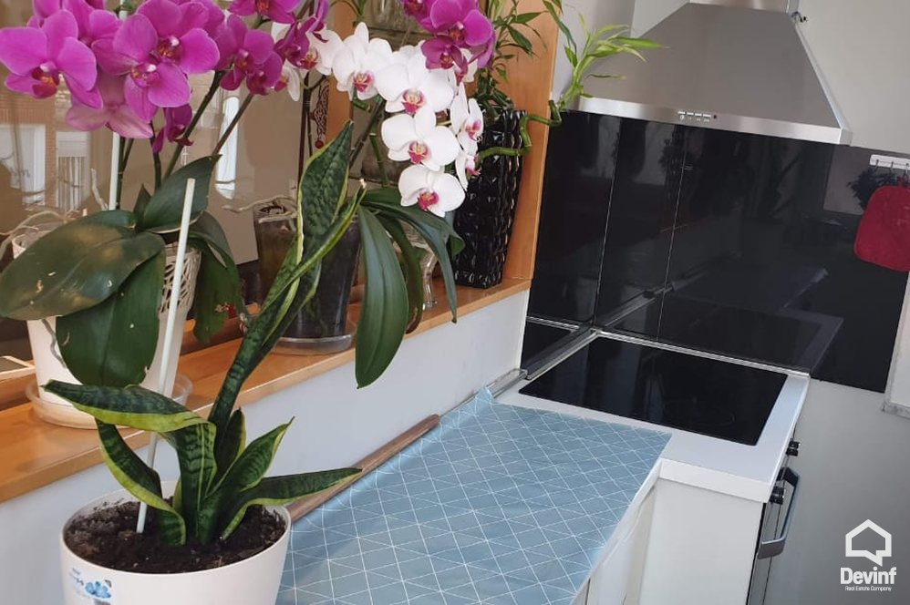 Tirane For Rent Apartment 2+1+A Apartment in Blloku area Apartment