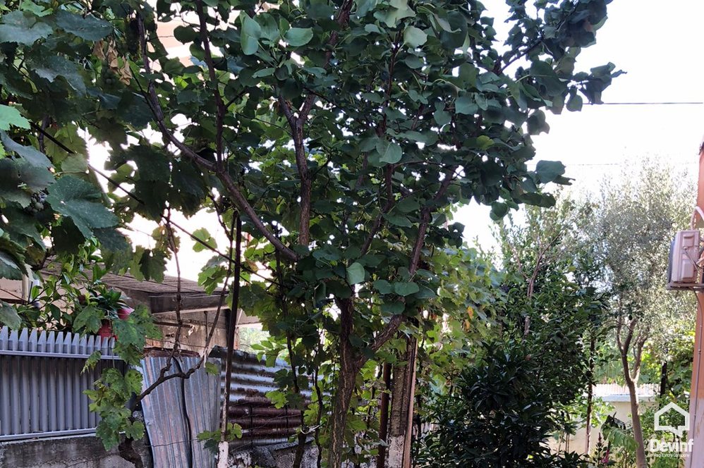 Tirane Shitje Vile Me shume se 4 dhoma Vile ne Koder-Kamez prane Institutit Bujqesor vile