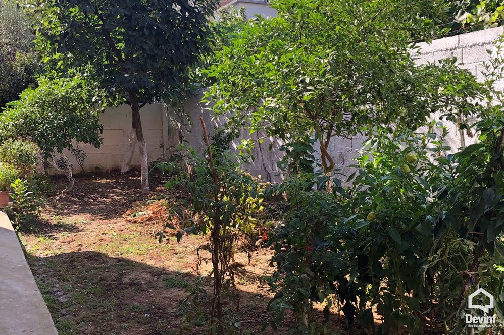 Tirane Shitje Vile Me shume se 4 dhoma Vile ne Koder-Kamez prane Institutit Bujqesor vile