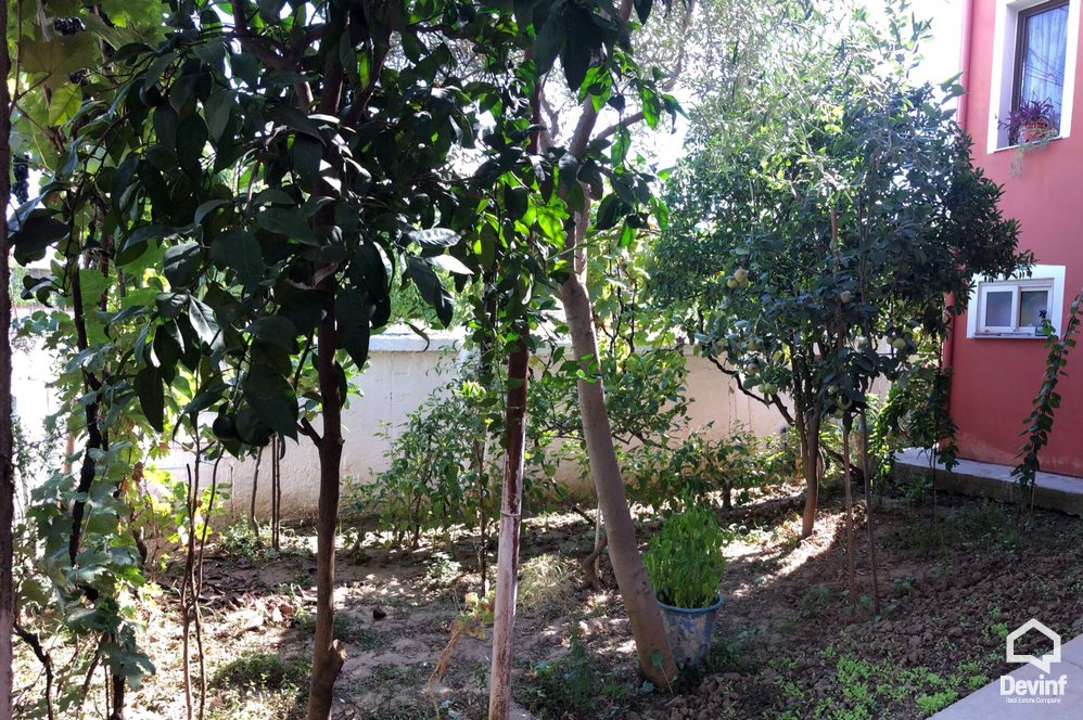 Tirane Shitje Vile Me shume se 4 dhoma Vile ne Koder-Kamez prane Institutit Bujqesor vile