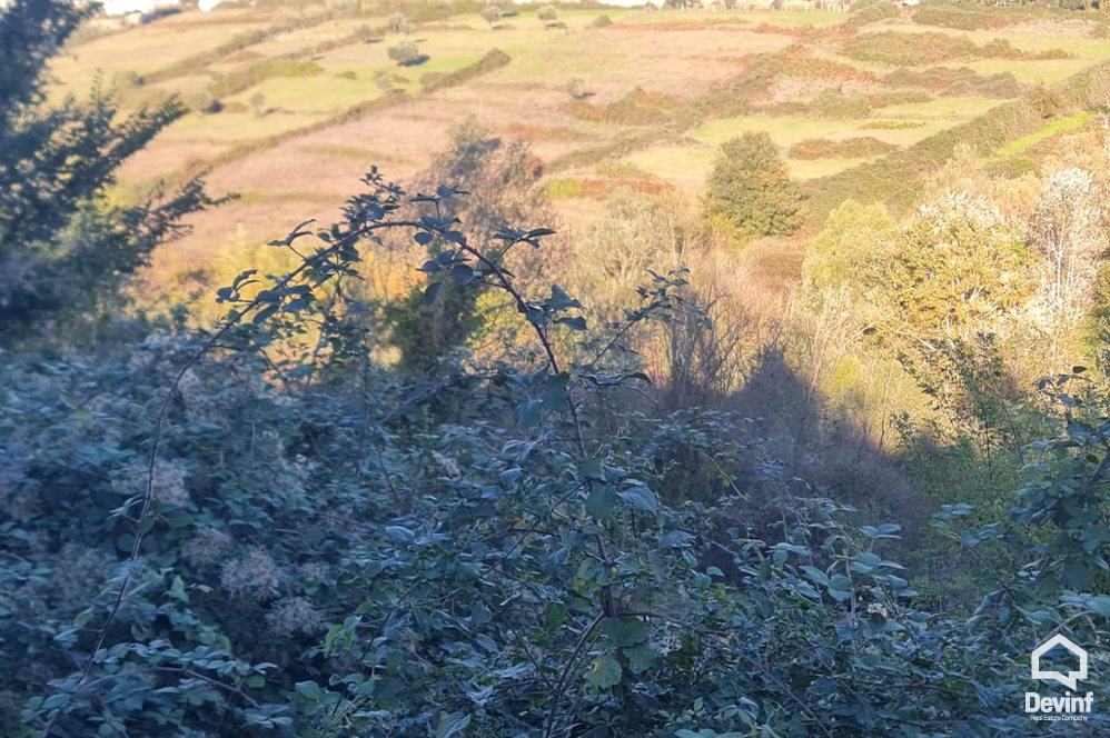 Tirane For Sale Land Near the TEG shopping center Building Plot