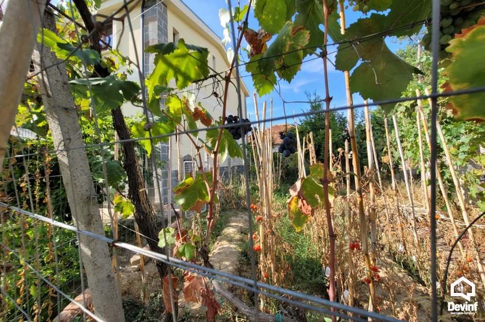 Tirane For Sale Villa Me shume se 4 dhoma Marikaj Village Villa shtepi fshat