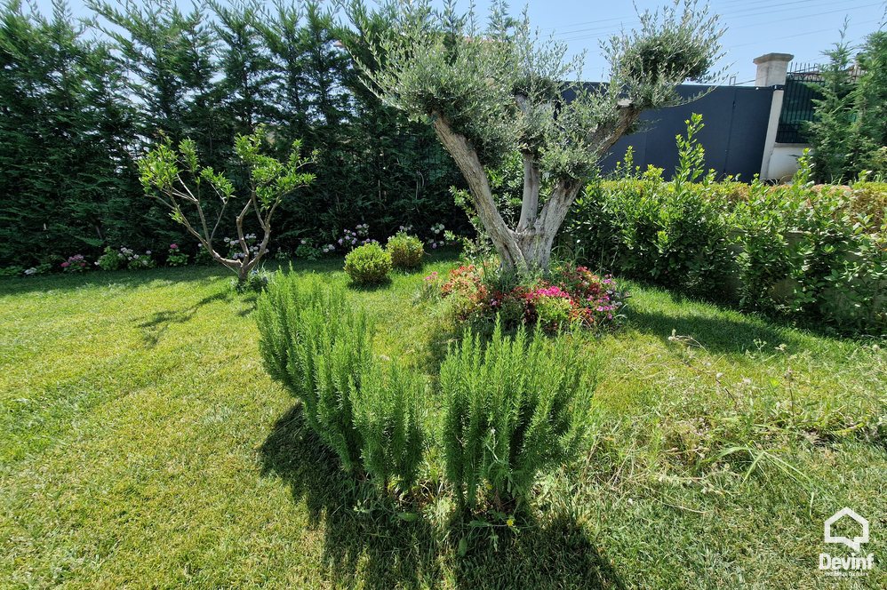 Tirane For Rent Villa Me shume se 4 dhoma Villa in the Farka area, only 5 kilometers from the center of Tirana Villa