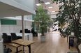 Tirane Qera Zyre Zyra ndodhet ne qender te Tiranes zyre dyqan spa qender estetike show room