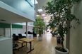 Tirane Qera Zyre Zyra ndodhet ne qender te Tiranes zyre dyqan spa qender estetike show room