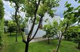 Tirane Qera Vile 4+1 Vile ne kompleks vilash ne zonen e TEG vile kompleks rezidencial