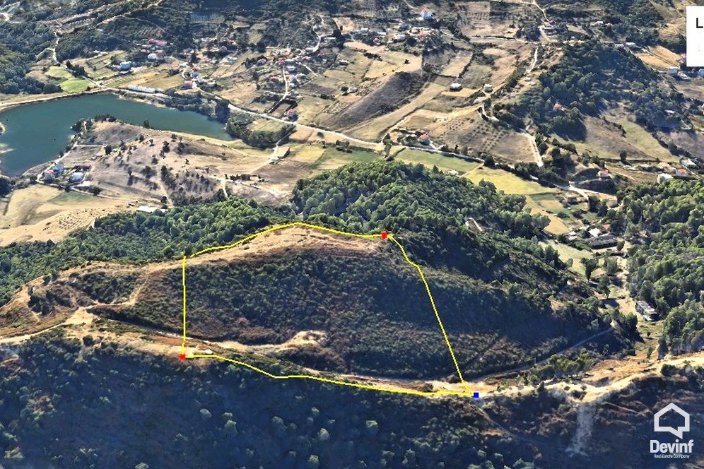 Tirane Shitje Toke  Ne kodrat e Selites toke are toke bujqesore toke per agroturizem