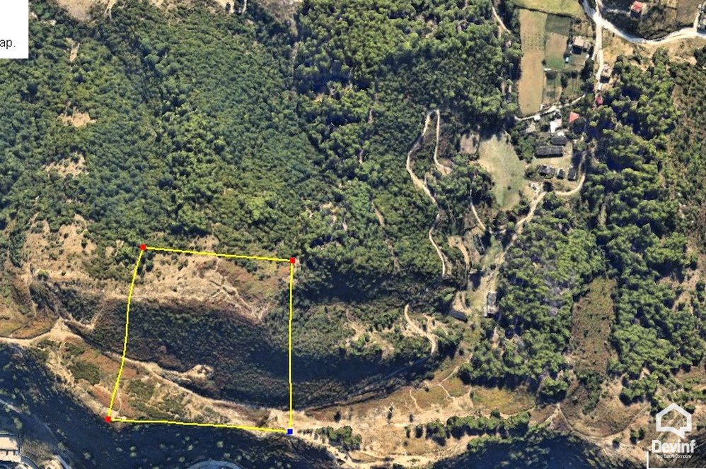 Tirane Shitje Toke  Ne kodrat e Selites toke are toke bujqesore toke per agroturizem