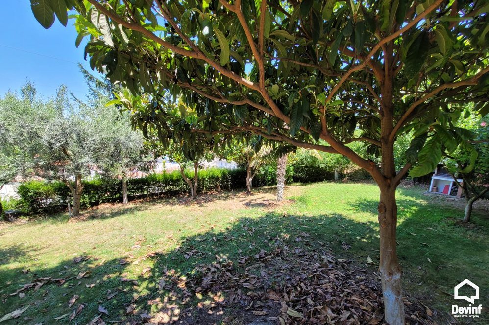 Tirane For Rent Villa  Villa close to Farka Lake Villa
