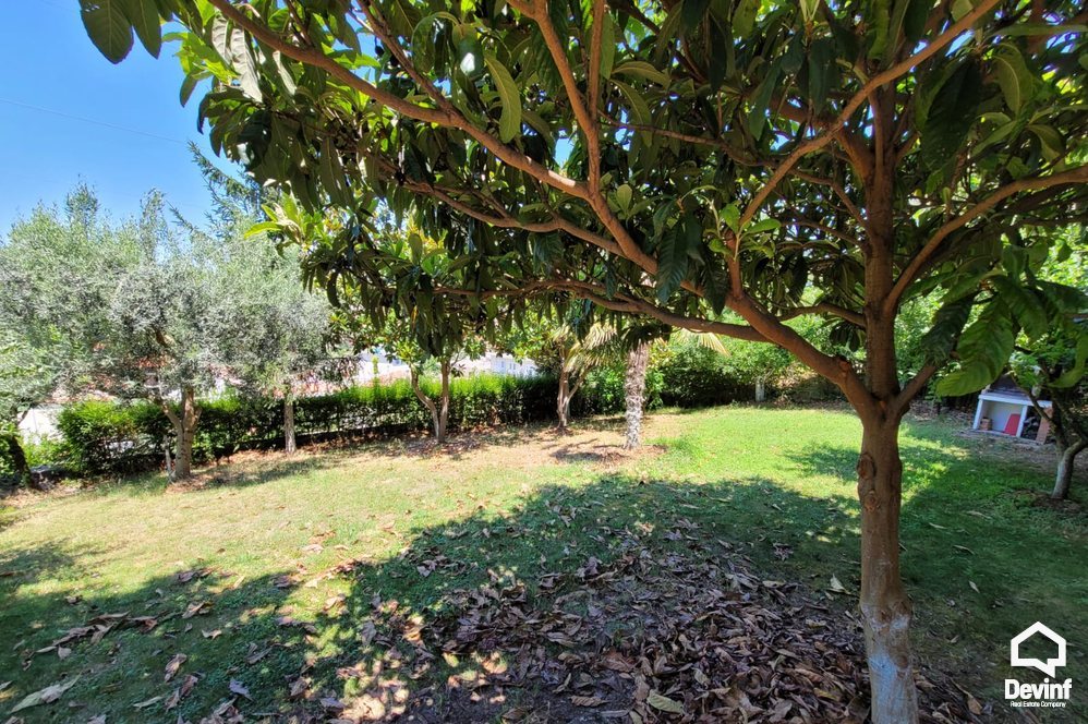 Tirane For Rent Villa  Villa close to Farka Lake Villa