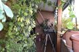 Tirane Qera Apartament 3+1+A Prane ish Ekspozites Shqiperia Sot apartament