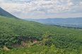 Tirane For Sale Land  The land is located in Priske e Madhe. toke pyll Agricultural Land toke per agroturizem