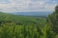Tirane For Sale Land  The land is located in Priske e Madhe. toke pyll Agricultural Land toke per agroturizem