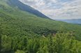 Tirane For Sale Land  The land is located in Priske e Madhe. toke pyll Agricultural Land toke per agroturizem