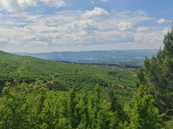 Toke Shitje Toka ndodhet ne zonen e Priskes se Madhe