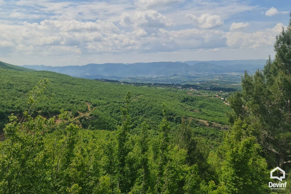 Tirane For Sale Land  The land is located in Priske e Madhe. toke pyll Agricultural Land toke per agroturizem