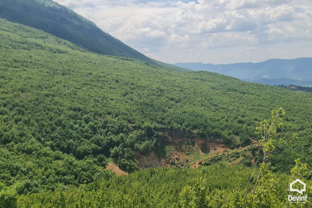 Tirane For Sale Land  The land is located in Priske e Madhe. toke pyll Agricultural Land toke per agroturizem