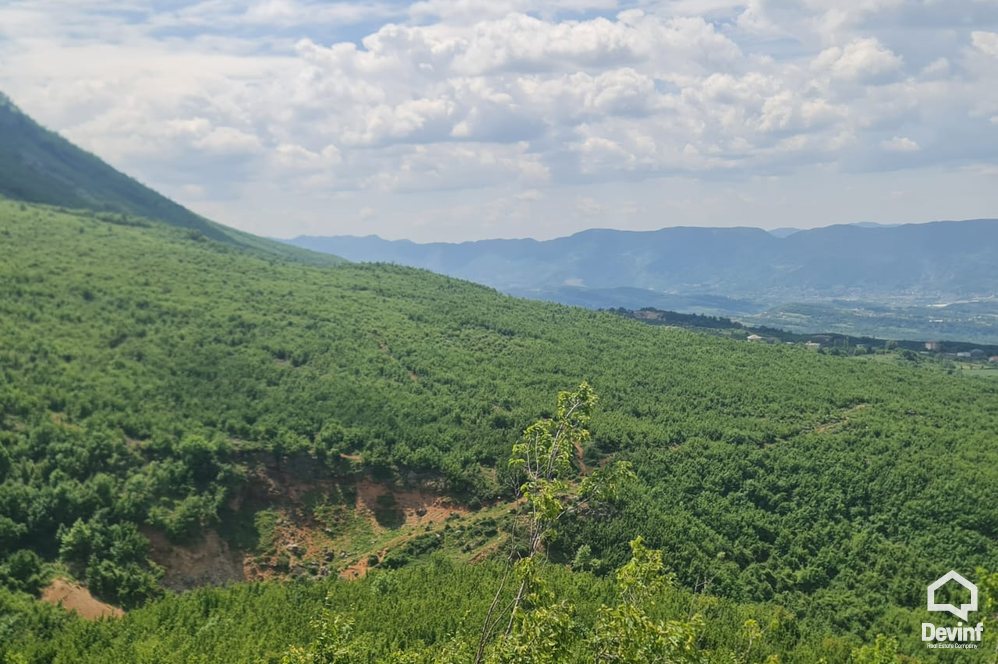 Tirane For Sale Land  The land is located in Priske e Madhe. toke pyll Agricultural Land toke per agroturizem