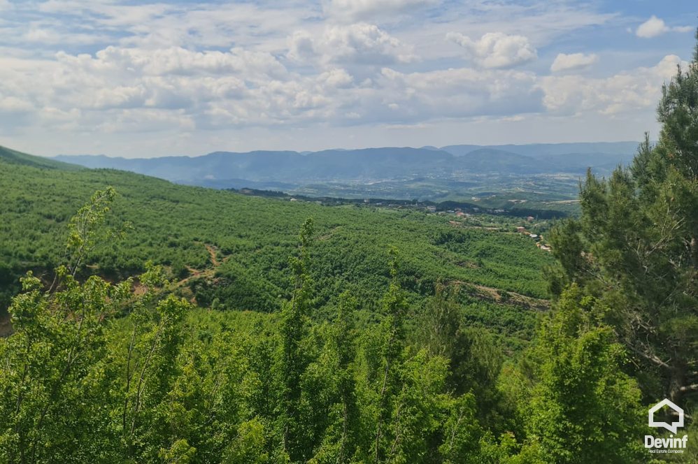 Tirane For Sale Land  The land is located in Priske e Madhe. toke pyll Agricultural Land toke per agroturizem