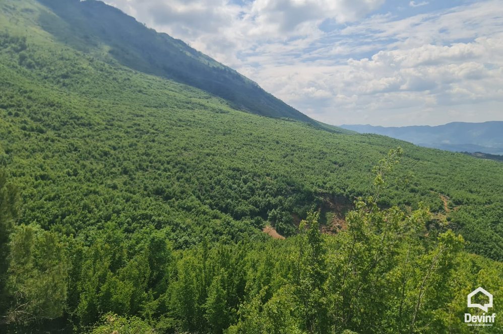 Tirane For Sale Land  The land is located in Priske e Madhe. toke pyll Agricultural Land toke per agroturizem