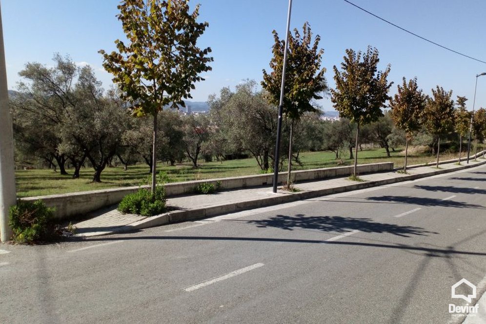 Ne Shitje Toke  Toka ndodhet ne zonen lindore te Tiranes, ne Shkoze Tirane