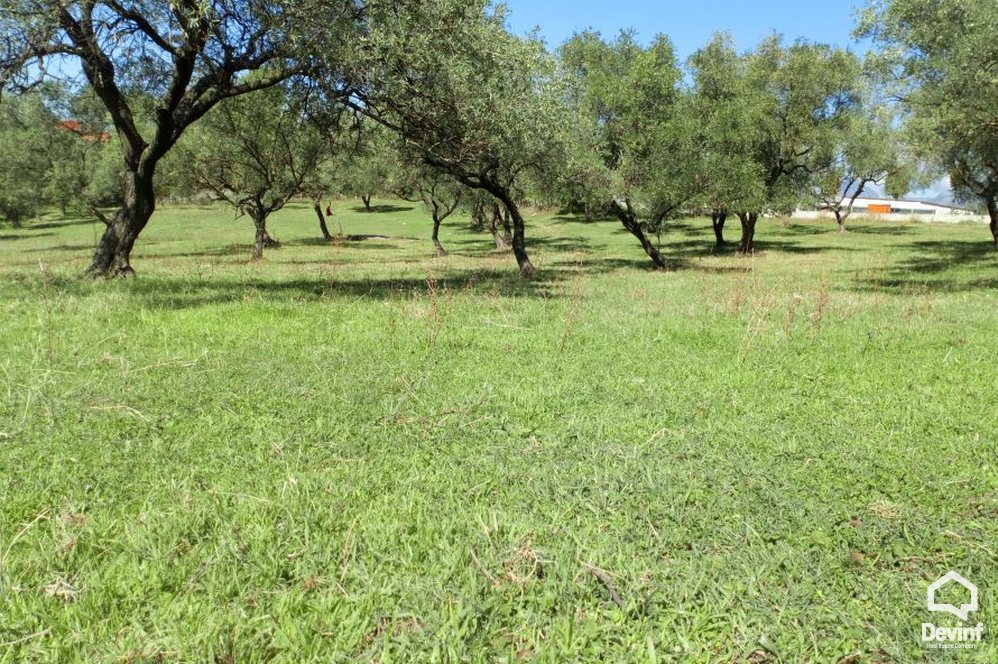 Tirane For Sale Land  The land is located in the eastern area of Tirana, in Shkoza Building Plot