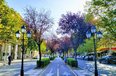 Tirane Qera Dyqan  Njesi tregtare ne Rrugen e Kavajes zyre Banke