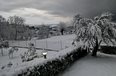 Tirane For Sale Houses 4+1+G Priske, Dajt turistike Booking/AirBnB shtepi
