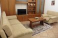 Tirane Qera Apartament 1+1+A Apartment prane Zogut te Zi apartament
