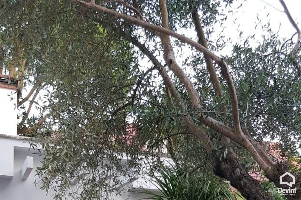 Durres Shitje Vile 3+1+G Kompleks rezidencial ne Qerret bregdet kompleks rezidencial vile