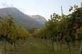 Lac For Sale Land  National Road Lac-Kurbin Agricultural Land