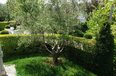 Tirane For Rent Villa  Hosuse in a residential compound in TEG area Villa