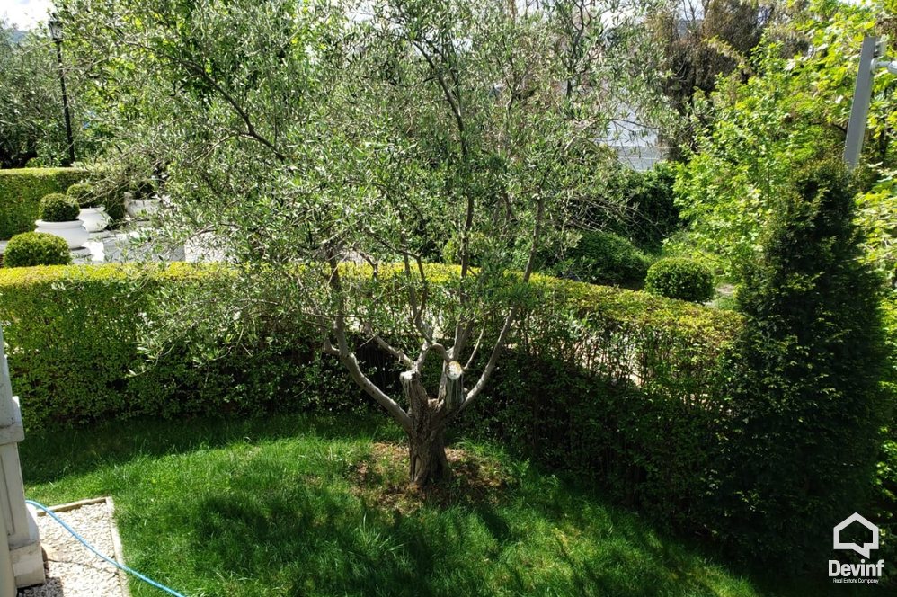 Tirane For Rent Villa  Hosuse in a residential compound in TEG area Villa
