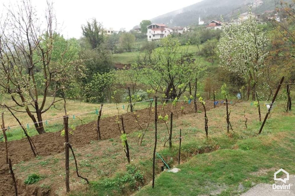 Tirane For Sale Land  Surreal Area, Tirane Building Plot toke per agroturizem