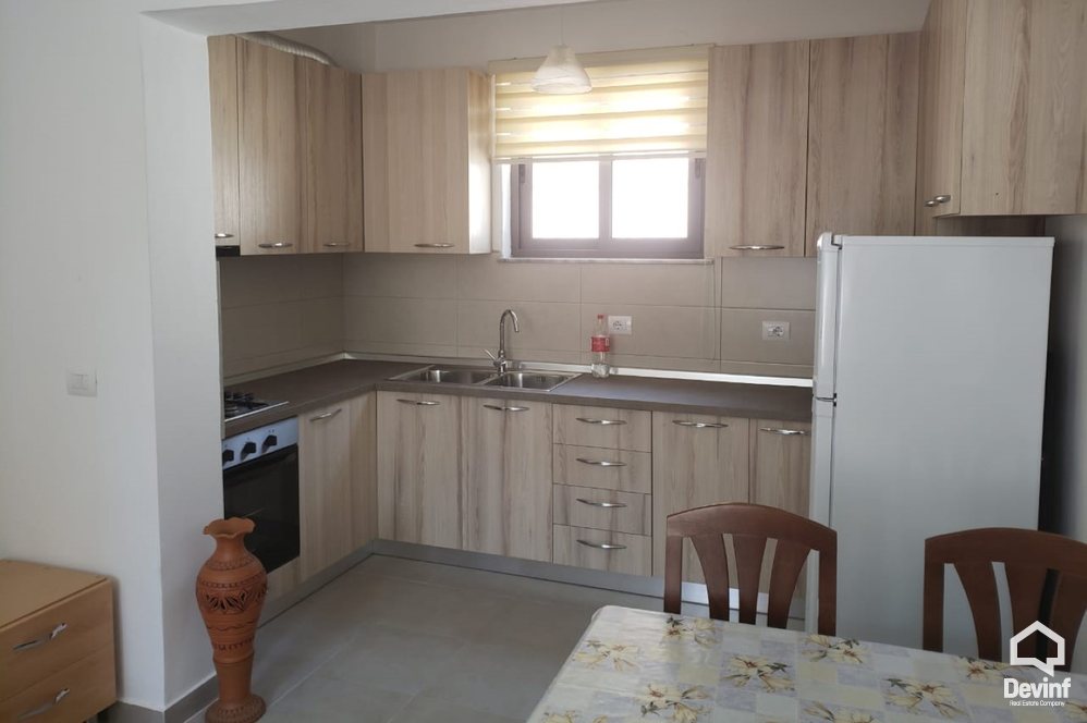Tirane For Rent Houses 2+1+A House in Bardhyl Street Apartment Villa