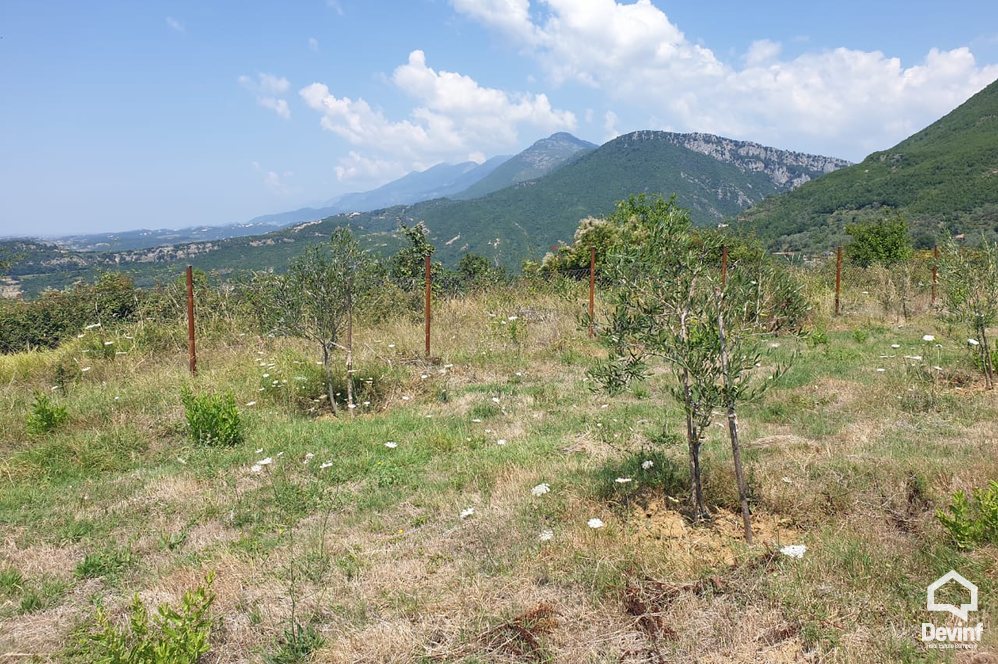 Tirane For Sale Land  Pellumbas, Tirane Building Plot
