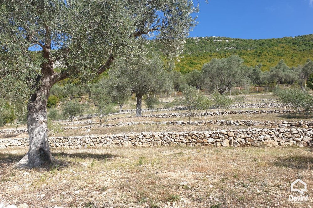 Tirane For Sale Land  The land is located in Petrela area toke per agroturizem