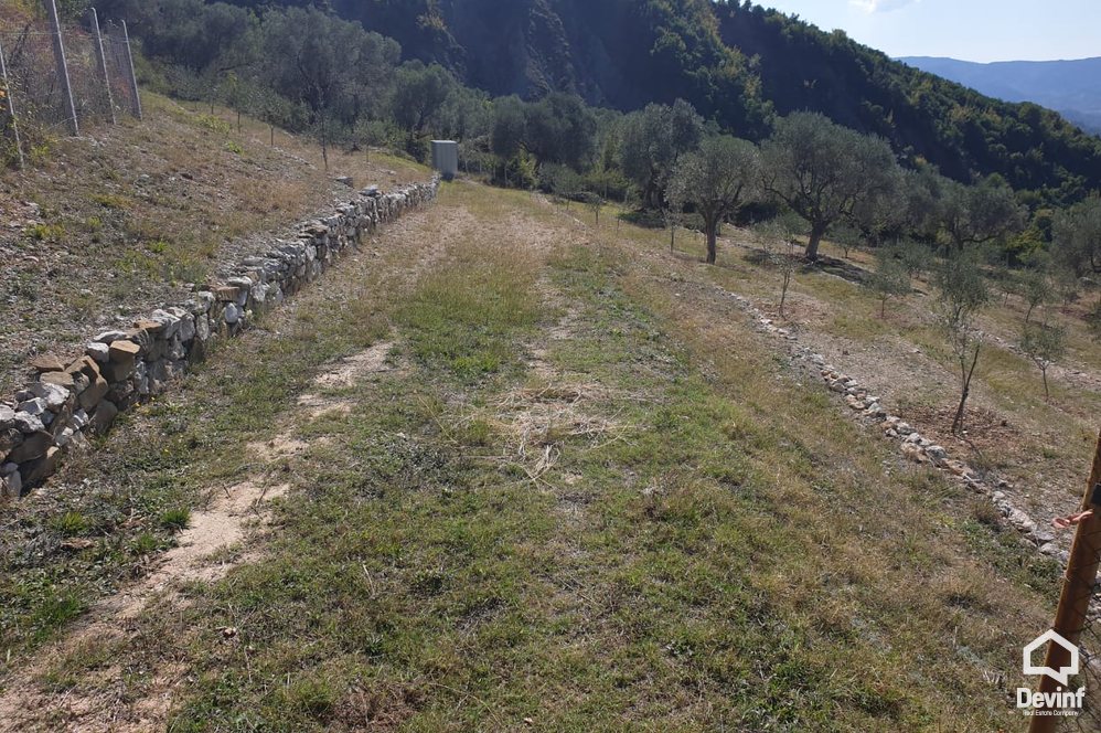Tirane For Sale Land  The land is located in Petrela area toke per agroturizem