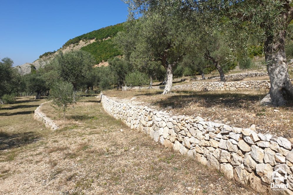 Tirane For Sale Land  The land is located in Petrela area toke per agroturizem