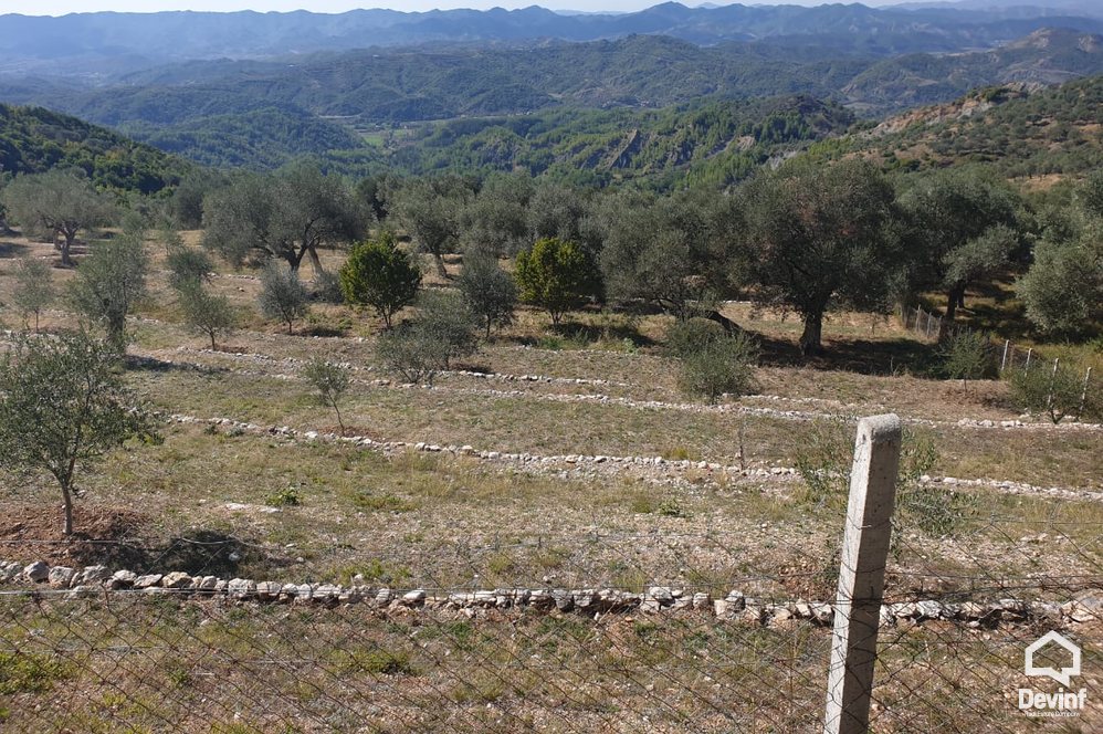 Tirane For Sale Land  The land is located in Petrela area toke per agroturizem
