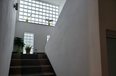 Tirane For Rent Villa Me shume se 4 dhoma At the Lake of Tirana Office Villa kopesht femijesh Multifunctional Building