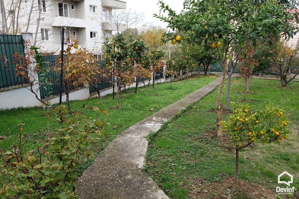 Tirane For Rent Villa Me shume se 4 dhoma At the Lake of Tirana Office Villa kopesht femijesh Multifunctional Building