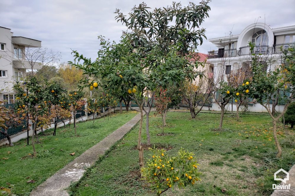 Tirane For Rent Villa Me shume se 4 dhoma At the Lake of Tirana Office Villa kopesht femijesh Multifunctional Building