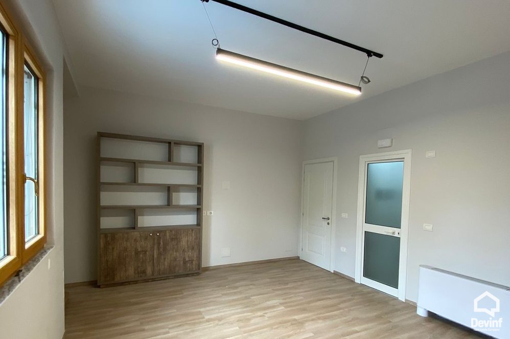 Tirane For Rent Villa Me shume se 4 dhoma At the Lake of Tirana Office Villa kopesht femijesh Multifunctional Building