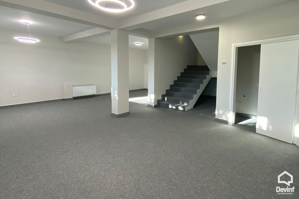 Tirane For Rent Villa Me shume se 4 dhoma At the Lake of Tirana Office Villa kopesht femijesh Multifunctional Building