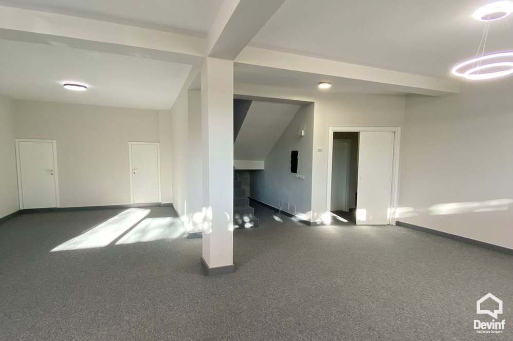 Tirane For Rent Villa Me shume se 4 dhoma At the Lake of Tirana Office Villa kopesht femijesh Multifunctional Building