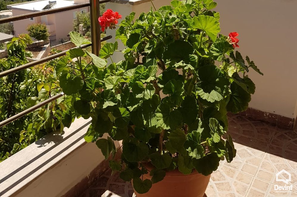 Himare Shitje Vile  Dhermi, Vlore vile bregdet turistike